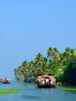 Full-Day Fort Kochi Cycling Tour with Backwater Canoe Cruise & Village Lunch