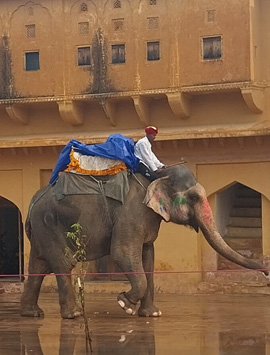 7 Days Golden Triangle India Tour with Delhi, Agra & Jaipur Private Guide