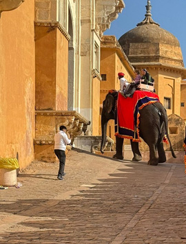 Golden Triangle India Tour with Heritage Fort Stay at Pachewar